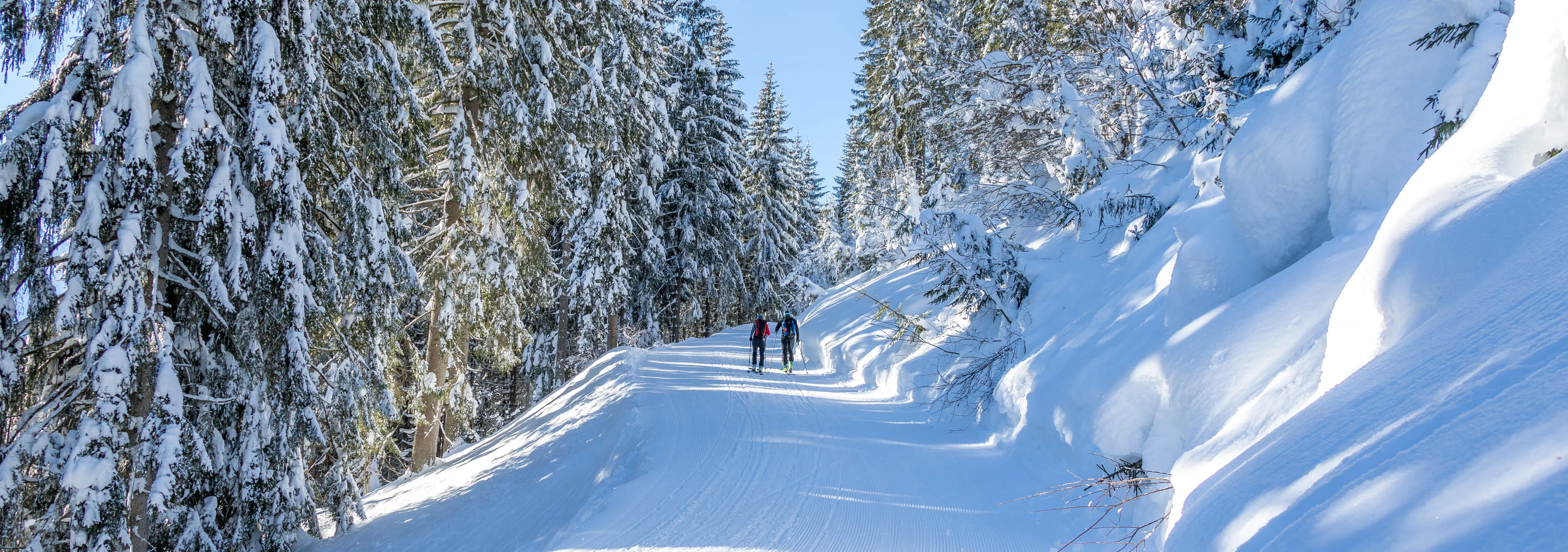 Winter_c-Gerald_Lobenwein_Mittersillplus_83__crop