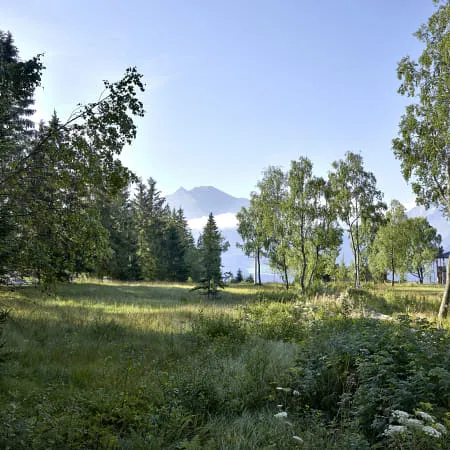 Sommerlandschaft mit Bäumen, Wiese und Bergen im Hintergrund
